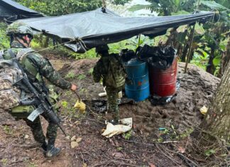 Golpe al Clan del Golfo: destruyen cuatro laboratorios de cocaína en Valdivia