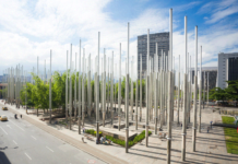 Preocupación en la capital: en menos de 72 horas dos fetos fueron abandonados en basureros