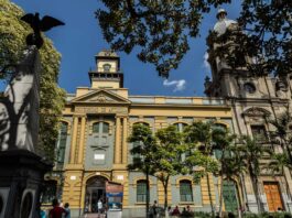 Alma Mater