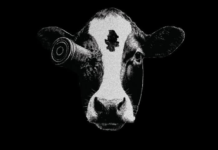 Festival de Cine de Marinilla (FILCMAR) celebra su séptima edición con “Luz efímera” FILCMAR