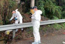Hallan cuerpos decapitados y desmembrados en Copacabana y Andes: Antioquia en alerta por nueva ola de violencia Halla