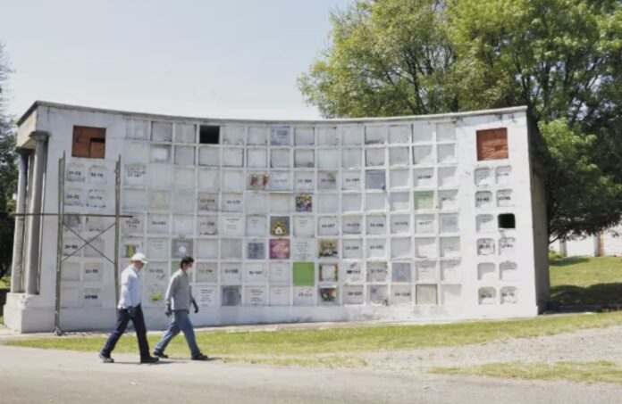 Imagen de referencia