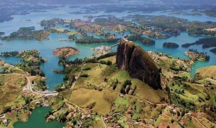 Imagen de referencia