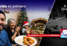 Plan Navidad de la Agencia Nacional de Seguridad Vial