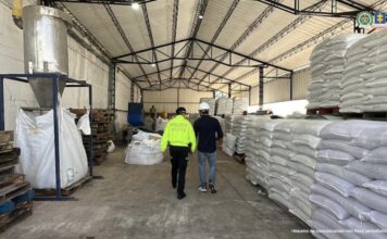 Red narcotraficante que enviaba cocaína en contenedores de banano fue desmantelada en un operativo nacional