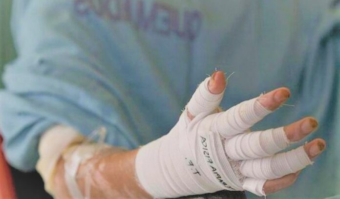 Imagen de referencia