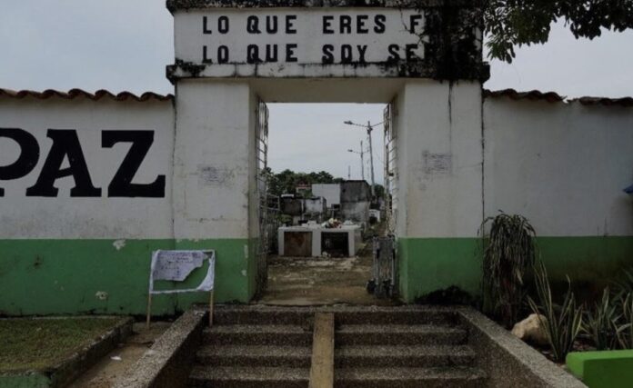 Imagen de referencia