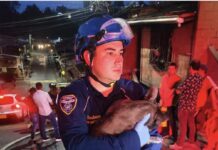 Bomberos de Rionegro rescataron con vida a tres perros durante incendio en una vivienda
