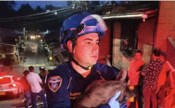 Bomberos de Rionegro rescataron con vida a tres perros durante incendio en una vivienda