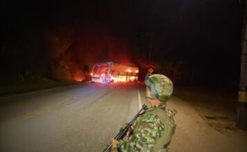 Hombres armados interceptaron un vehículo y lo incendiaron en zona rural de Valdivia