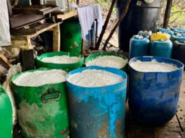 Una tonelada de cocaína al mes producía este laboratorio desmantelado
