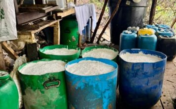 Una tonelada de cocaína al mes producía este laboratorio desmantelado