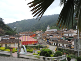 Otra mujer fue asesinada - Salgar