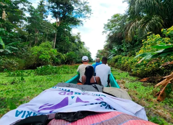 whatsapp-image-2026-01-29-at-11_49813672_20260129140638 (1)