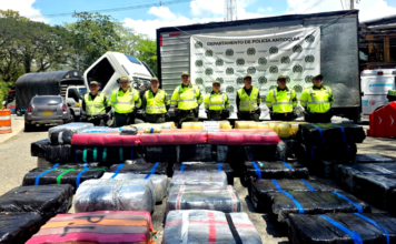 Histórica incautación de marihuana en La Pintada: 5,2 toneladas eran transportadas en un camión Incautación de marihuana