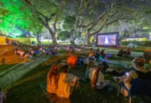 Cine bajo las estrellas