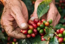 Lluvias en Antioquia