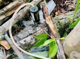 Comunidad de Briceño impidió desativación de explosivo