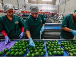 Antioquia volvió a crecer