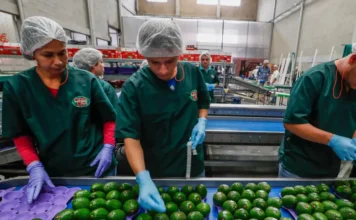 Antioquia volvió a crecer por encima del país en 2025 con un impulso del sector privado Antioquia volvió a crecer