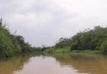 Hallan cuerpo de niña que cayó de garrucha en río de Turbo Hallan a niña de 6 años desaparecida tras caer de una garrucha con su abuela en Turbo