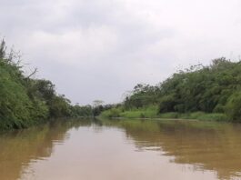 Hallan a niña de 6 años desaparecida tras caer de una garrucha con su abuela en Turbo