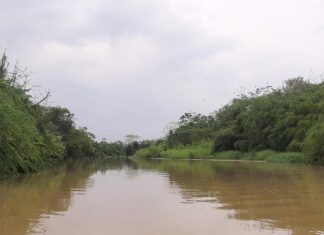 Hallan cuerpo de niña que cayó de garrucha en río de Turbo Hallan a niña de 6 años desaparecida tras caer de una garrucha con su abuela en Turbo