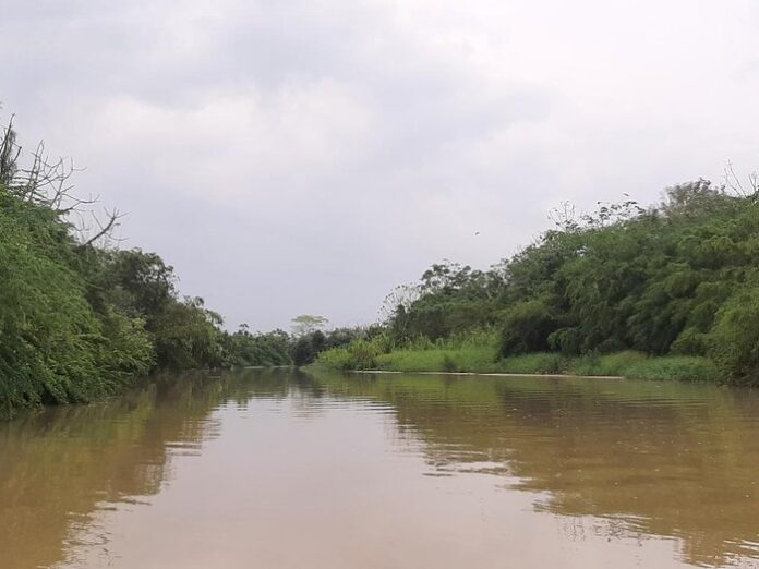 63127332.700x525 Hallan a niña de 6 años desaparecida tras caer de una garrucha con su abuela en Turbo
