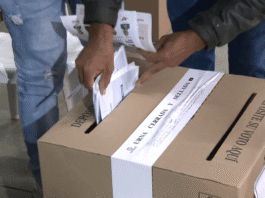 ganadores de las Consultas