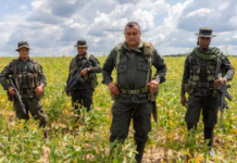 Aún no liberan a las dos menores secuestradas en El Bagre Aún no liberan a las dos menores secuestradas en El Bagre