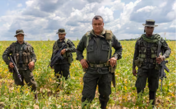 Aún no liberan a las dos menores secuestradas en El Bagre Aún no liberan a las dos menores secuestradas en El Bagre