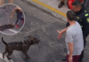 Policía podría enfrentar cárcel por caso de perro en Rionegro