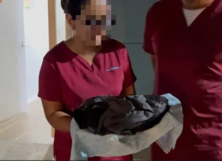Tragedia en Puerto Berrío: siete gatos murieron tras esterilización masiva y varios perros siguen graves