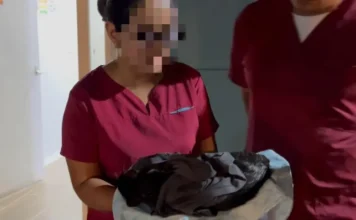 Tragedia en Puerto Berrío: siete gatos murieron tras esterilización masiva y varios perros siguen graves Tragedia en Puerto Berrío: siete gatos murieron tras esterilización masiva y varios perros siguen graves