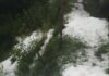 Granizada dejó cultivos cubiertos de hielo en La Ceja Granizada dejó cultivos cubiertos de hielo