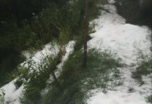 Granizada dejó cultivos cubiertos de hielo en La Ceja Granizada dejó cultivos cubiertos de hielo