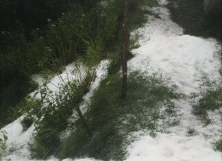 Granizada dejó cultivos cubiertos de hielo
