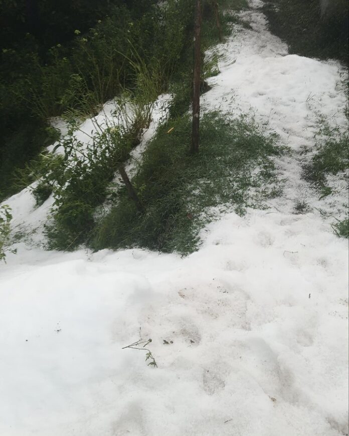 Granizada dejó cultivos cubiertos de hielo