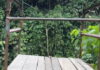 Hallan sin vida a joven que cayó al río Sucio mientras cruzaba en una garrucha en Dabeiba Hallan sin vida a joven que cayó