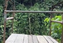 Hallan sin vida a joven que cayó al río Sucio mientras cruzaba en una garrucha en Dabeiba Hallan sin vida a joven que cayó