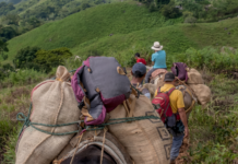 Antioquia sigue entre los departamentos más golpeados por la crisis humanitaria Antioquia sigue entre los departamentos