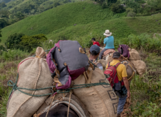 Antioquia sigue entre los departamentos