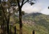 Noche violenta en Titiribí dejó tres hombres asesinados Noche violenta en Titiribí