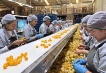 Más mujeres tendrán oportunidades de empleo formal en Antioquia