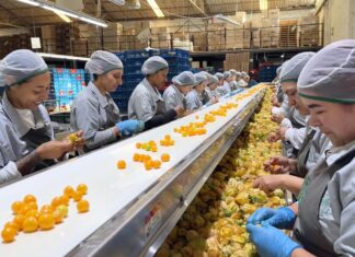 Más mujeres tendrán oportunidades de empleo formal en Antioquia