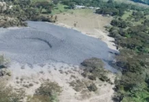 ¡Volcán de lodo se activa en Antioquia y alcanza a varias vacas! Volcán de lodo se activa en Antioquia