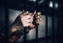 Histórico: Colombia ya tiene ley que castiga el abuso sexual contra animales Histórico: Colombia ya tiene ley que castiga el abuso sexual contra animales