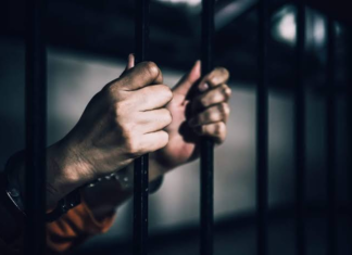 Histórico: Colombia ya tiene ley que castiga el abuso sexual contra animales
