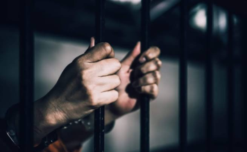 Histórico: Colombia ya tiene ley que castiga el abuso sexual contra animales Histórico: Colombia ya tiene ley que castiga el abuso sexual contra animales