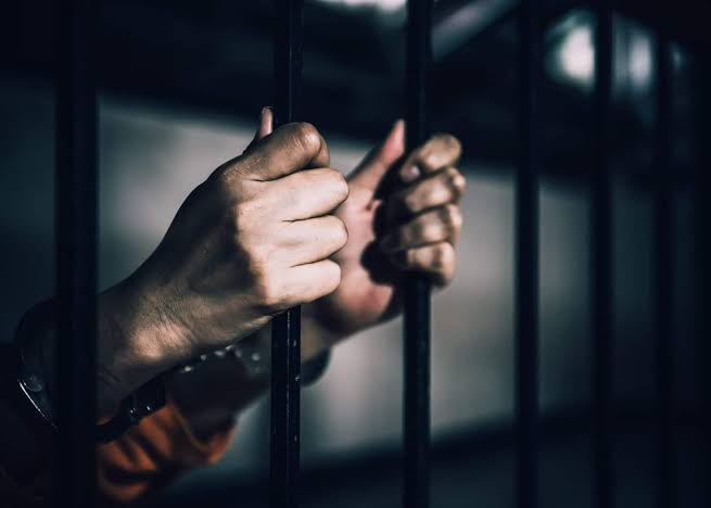 Histórico: Colombia ya tiene ley que castiga el abuso sexual contra animales